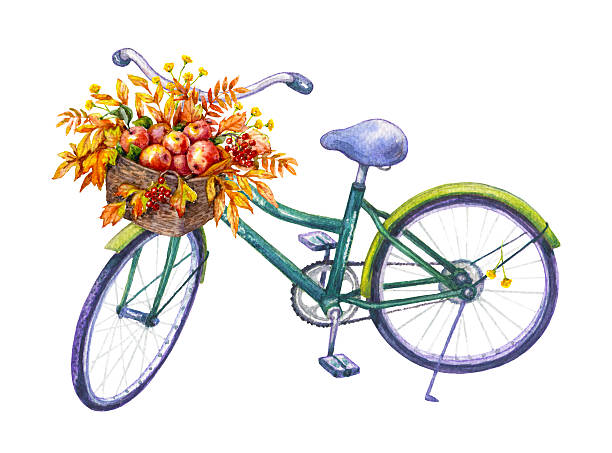 велосипед с корзиной осенних яблок - bicycle isolated basket red stock illustrations