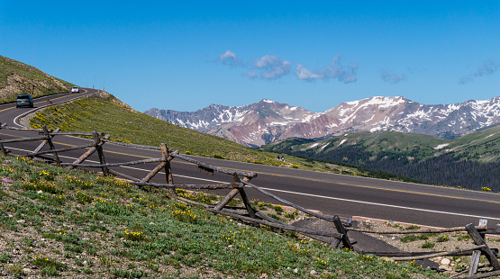 cars driving along the Trail Ridge Road at the highest elevation above the tree line in the Rocky National Park with alpine meadows and wildflowers 
