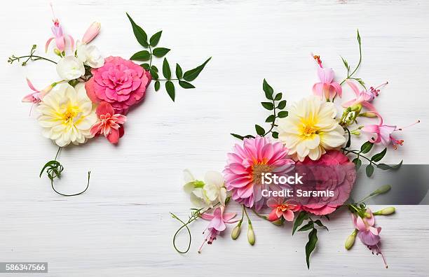 Flower Composition Stock Photo - Download Image Now - Flower, Directly Above, Single Flower