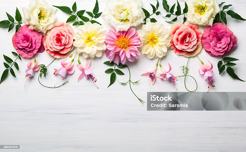 Blumen Komposition - Lizenzfrei Blume Stock-Foto