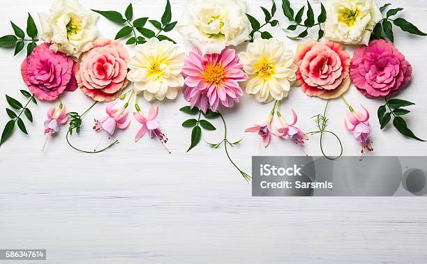 Blumen Komposition Stockfoto und mehr Bilder von Blume - Blume, Geburtstag, Rosa