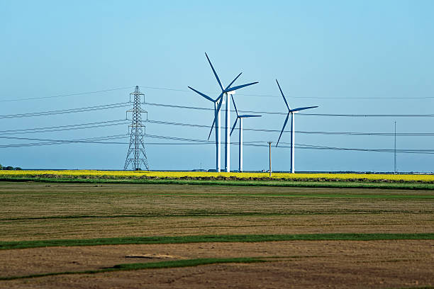 Meadow with Wind mill turbines generating electricity and electric power lines, in England, the UK