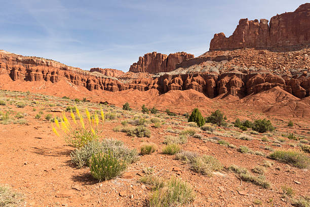 istock Capital Reef National Park in Spring 586351032