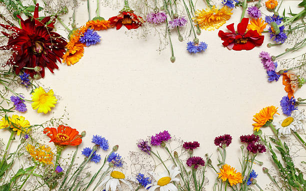 istock Flowers on canvas background. Top view, flat lay 586351354