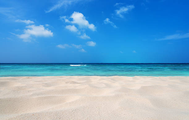 トロピカルビーチの砂丘の背景 - sand beach ストックフォトと画像