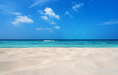 Tropical beach sand dune background