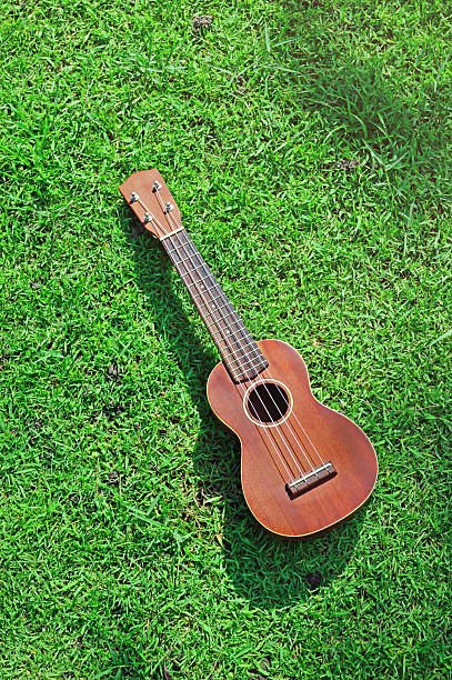 istock Ukulele on field of grass 586358848