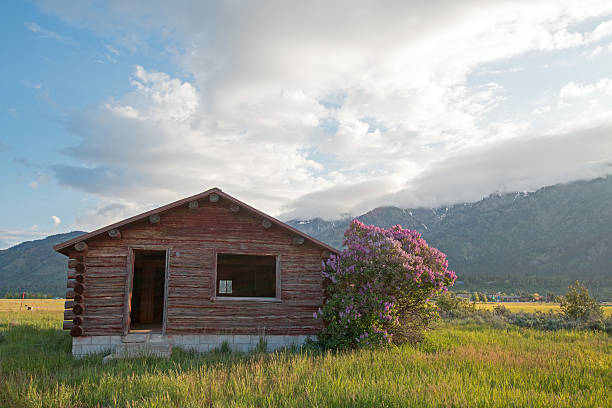 Abandoned Log Cabin along the Snake River in the Central Rocky Mountains in Alpine Wyoming USA