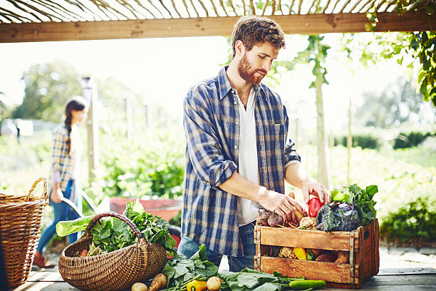 istock Trendy man removing vegetables from crate on organic farm 586365330