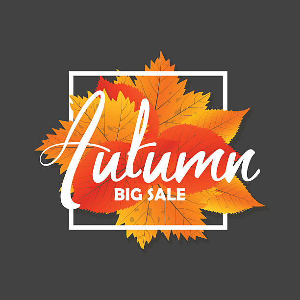 herbst neue saison von verkäufen und rabatten, angebote und angebot. - store suit commercial sign marketing stock-grafiken, -clipart, -cartoons und -symbole