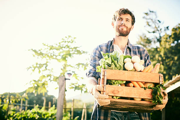 istock Young man holding vegetables in crate at organic farm 586366230
