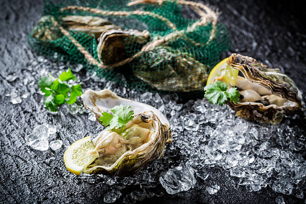 istock Delicious oysters on crushed ice ready to eat 586368416