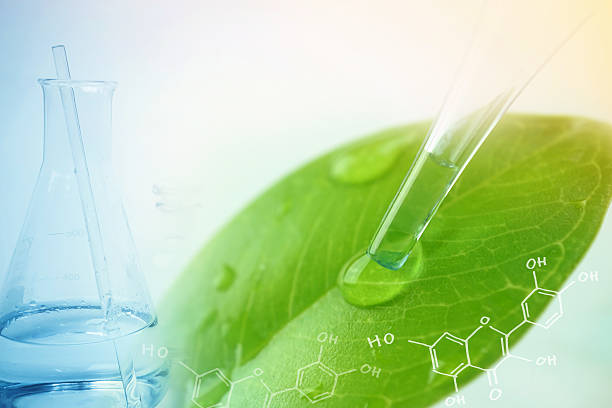 istock water drop from leaf and laboratory for natural chemistry concept 586371770
