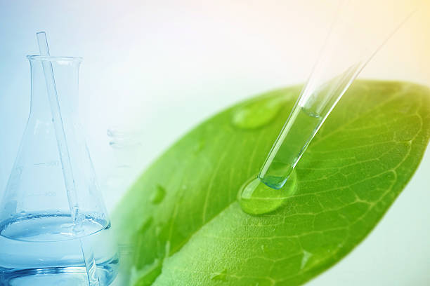 istock water drop from leaf and laboratory for natural chemistry concept 586371794