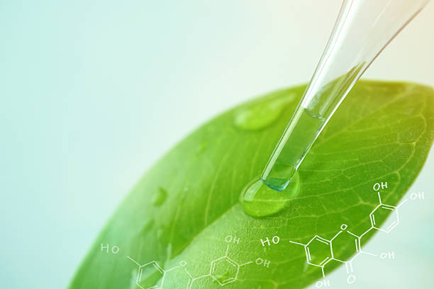 water drop from leaf and laboratory for natural chemistry concept