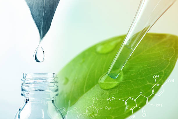 istock water drop from leaf and laboratory for natural chemistry concept 586371854