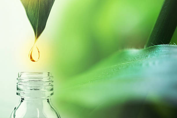 istock water drop from leaf and laboratory for natural chemistry concept 586371910