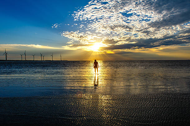The Brewster Mud Flats, on Cape Cod, at low tide and golden hour.
