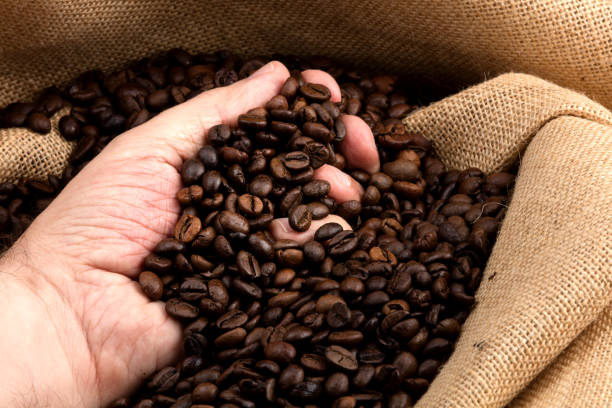 istock hand taken toasted coffee beans 586372454