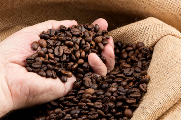 istock hand taken toasted coffee beans 586372584