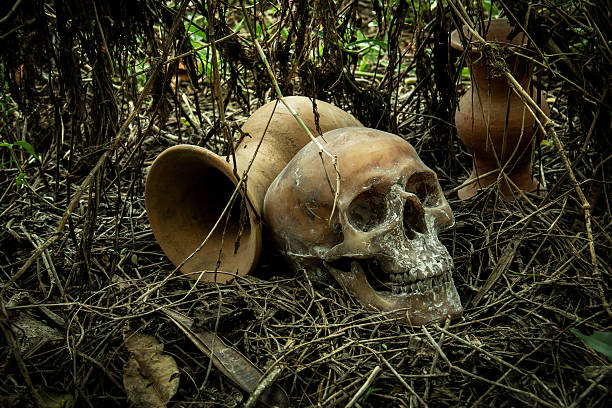 istock Still Life with a Skull in forest 586373944