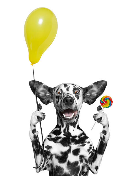 istock Cute dog with balloon and lollipop 586374092