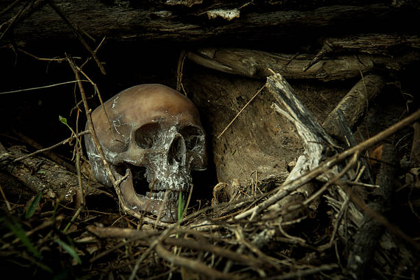 istock Still Life with a Skull in forest 586374144