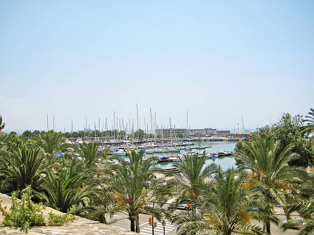 istock Marina in Palma de Majorca 586376696