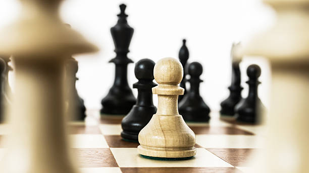 Opening Chess Photo Chess Pieces Position Stock Photo 2343348127
