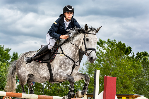 Close-up of horse with a rider jumping over a hurdle. The photo shows the moment when the horse passes over the hurdle. The rider is raised in the saddle and leaning forward while the horse prances. The rider and the horse seem coordinated and synchronized. The rider wears a jacket since it rains. In the background is the cloudy sky and treetops.