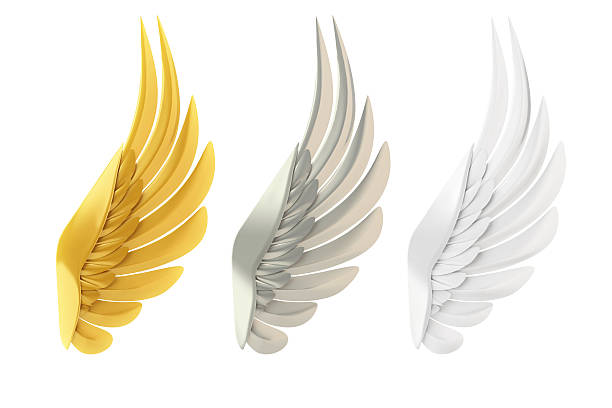 Golden Silver And White Wings Stock Photo - Download Image Now - Animal  Wing, Gold - Metal, Gold Colored - iStock