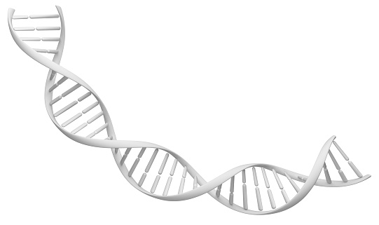 White spiral DNA strand. Isolated on a white background image. 3D illustration for design.