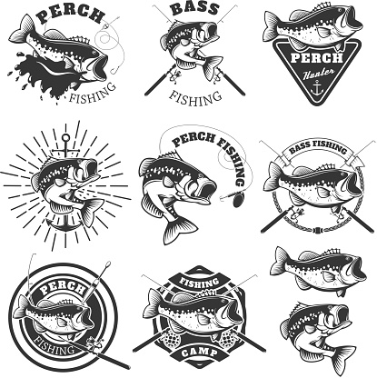 Bass fishing labels. Perch fish. Emblems templates for fishing club. Vector illustration.