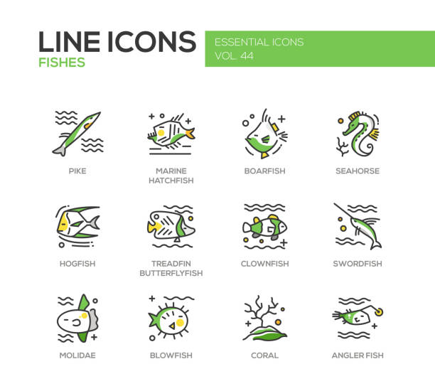 ilustrações, clipart, desenhos animados e ícones de fishes - conjunto de ícones de design de linha - macaca