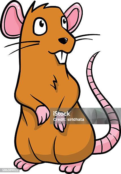 Cartoon Rat Vector Illustration Stock Illustration - Download Image Now -  Animal, Animal Hair, Animals In The Wild - iStock