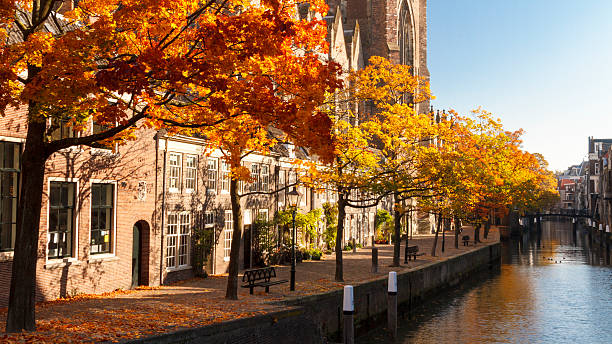 Autumn leaves on the trees Colorful autumn leaves on the trees next to Dordrecht cathedral. dordrecht stock pictures, royalty-free photos & images