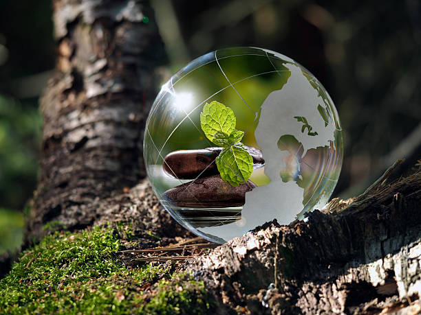 istock Transparent ball in the green forest 586393288