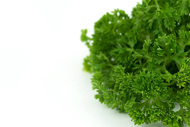 istock Fresh green parsley on white background 586393764