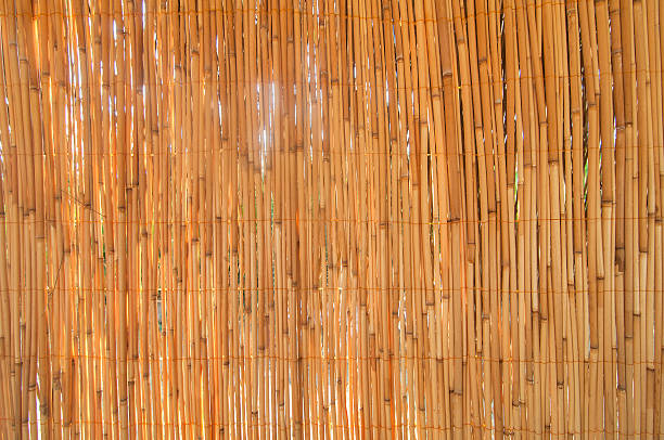 istock Partition of dried bamboo backgrounds 586393838