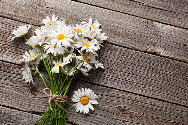 istock Daisy chamomile flowers on wood 586693136