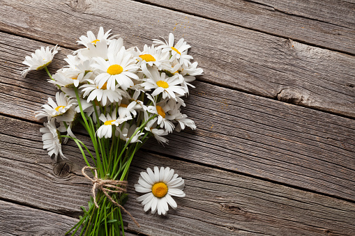 Daisy chamomile flowers on wooden garden table. Top view with copy space