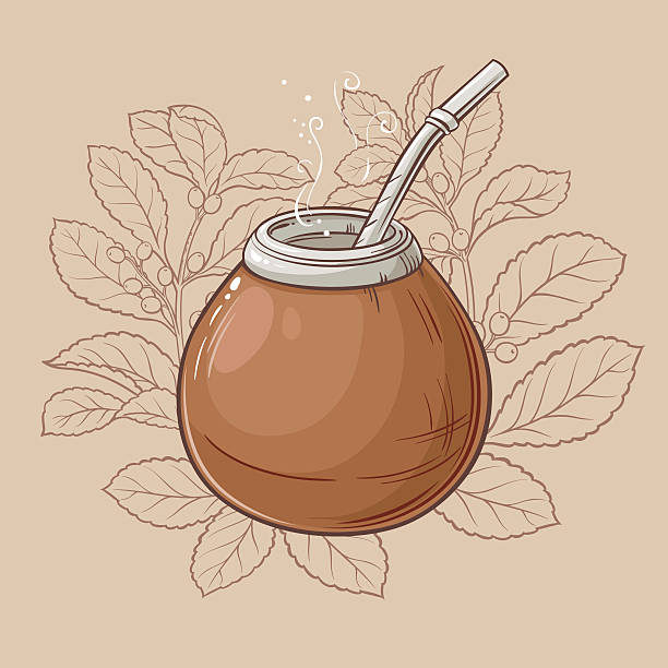 봄비야와 칼라바시의 짝 - drink brown herb heat stock illustrations