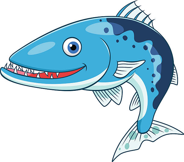 illustrazioni stock, clip art, cartoni animati e icone di tendenza di barracuda dei cartoni animati - barracuda
