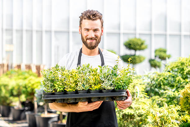istock Gardener holding pots with plants 586702020