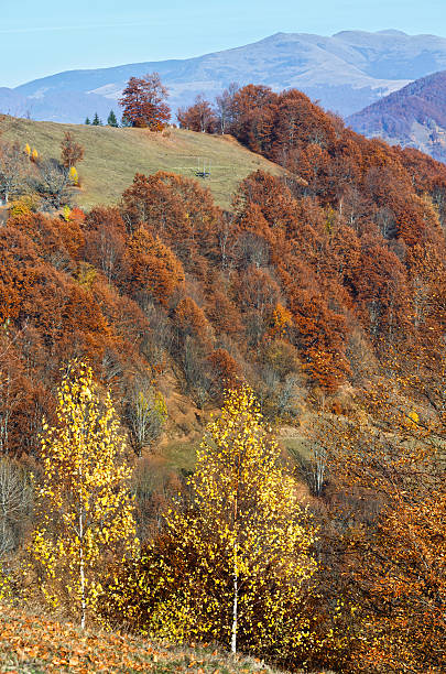 istock Golden autumn in mountain. 586702226