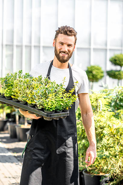 istock Gardener holding pots with plants 586702566