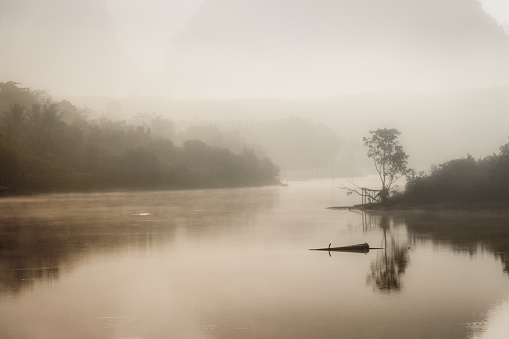 Foggy landscape with a tree silhouette on a fog over lake in morning