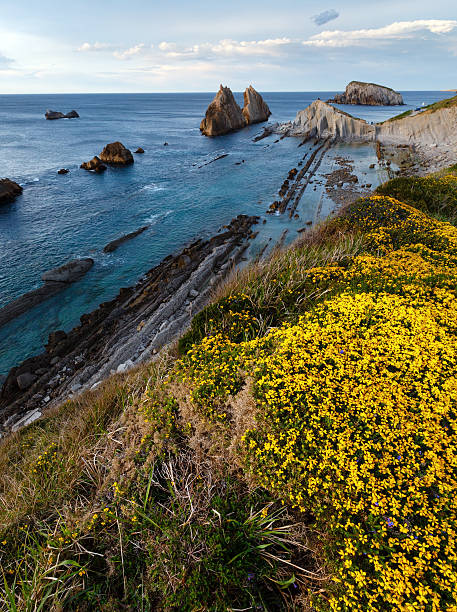 istock Blossoming Arnia Beach evening coastline landscape. 586705752