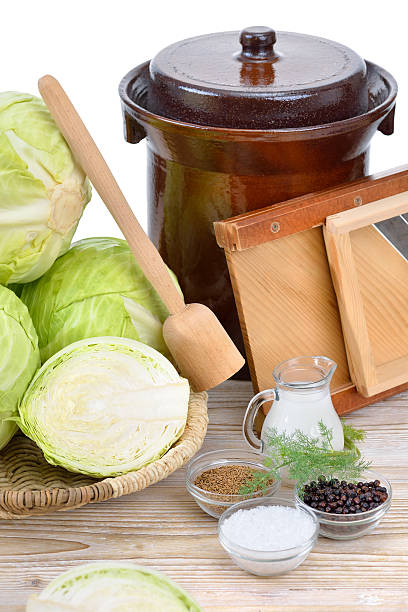 fermentacja żywności - sauerkraut cabbage vegetable white cabbage zdjęcia i obrazy z banku zdjęć