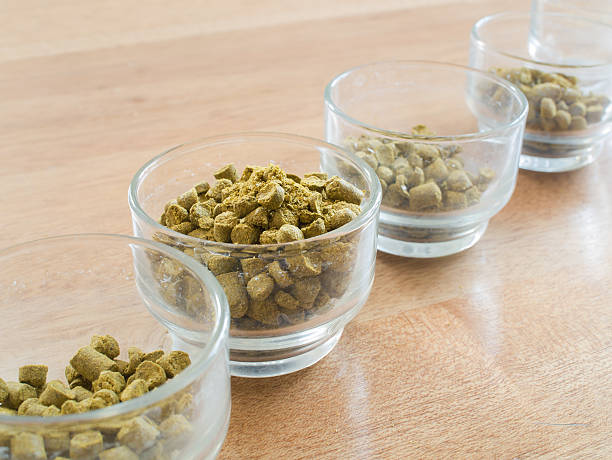 istock Hops pellets in glass cup for brewing beer 586708630